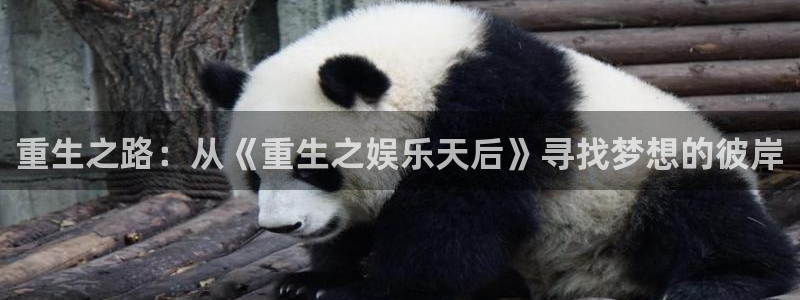 天顺娱乐：重生之路：从《重生之娱乐天后》寻找梦想的彼岸