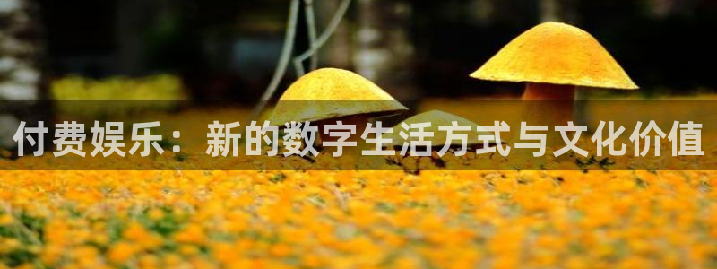 天顺娱乐：付费娱乐：新的数字生活方式与文化价值