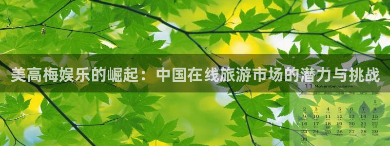 天顺娱乐：美高梅娱乐的崛起：中国在线旅游市场的潜力与挑战